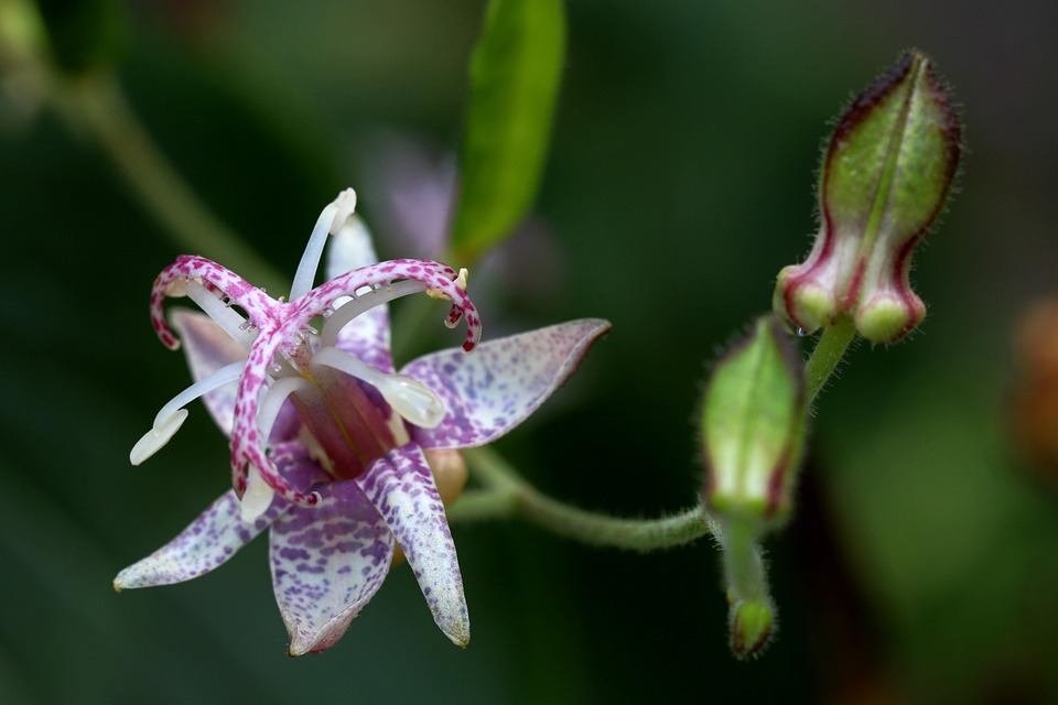 Reiseärger? Verbraucherzentrale hilft Brandenburger:innen bei Ansprüchen!