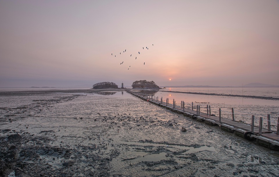 Taiana Neto Martins: Neue Miss Tourisme Luxembourg begeistert!