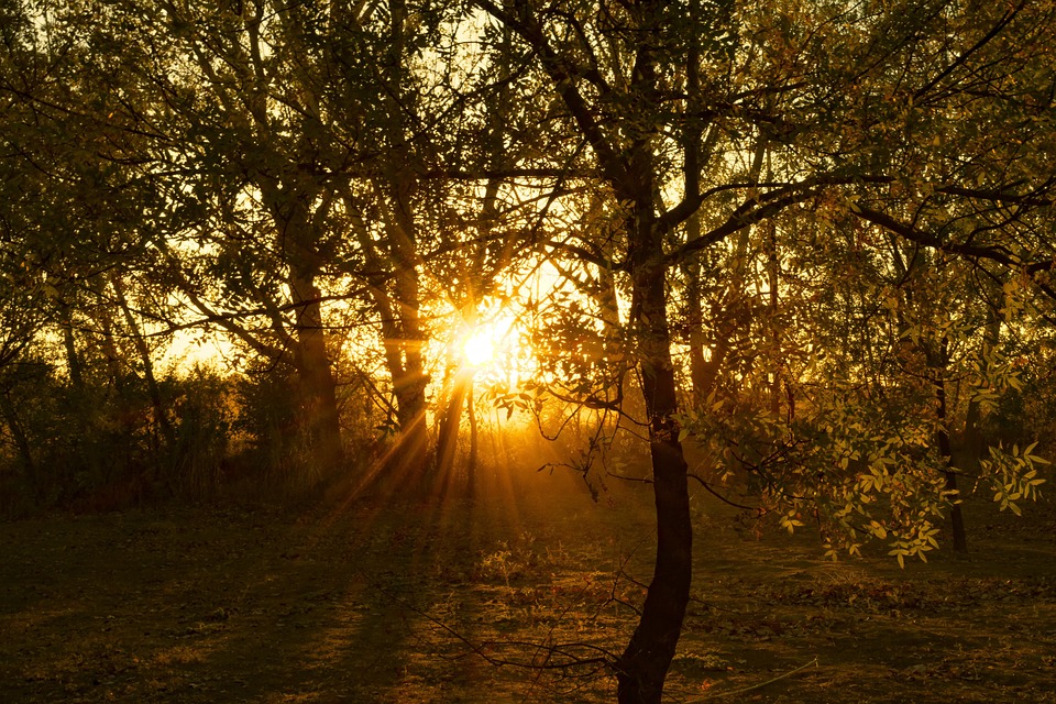 Zauberhafte Flamingos erleben: Seyers Zypern-Highlight im Winter!