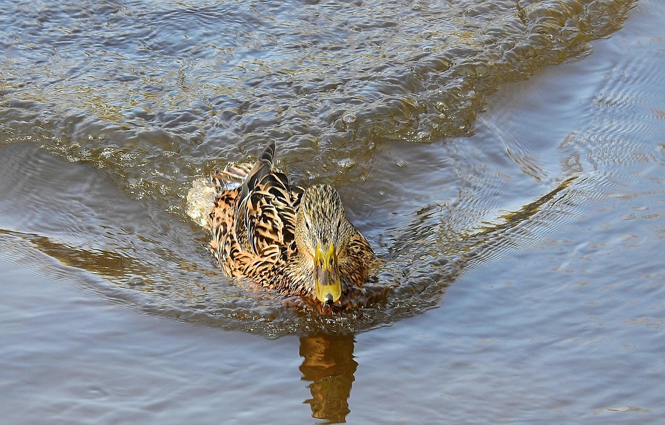 Aktuelle Reisewarnung: Gefährliches Israel! Urlauber auf der Hut!