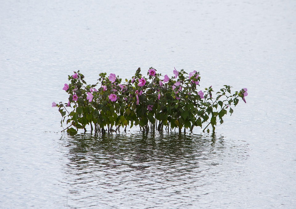 Ballett-Highlight: Forsythe, Ratmansky & co. verzaubern in New York