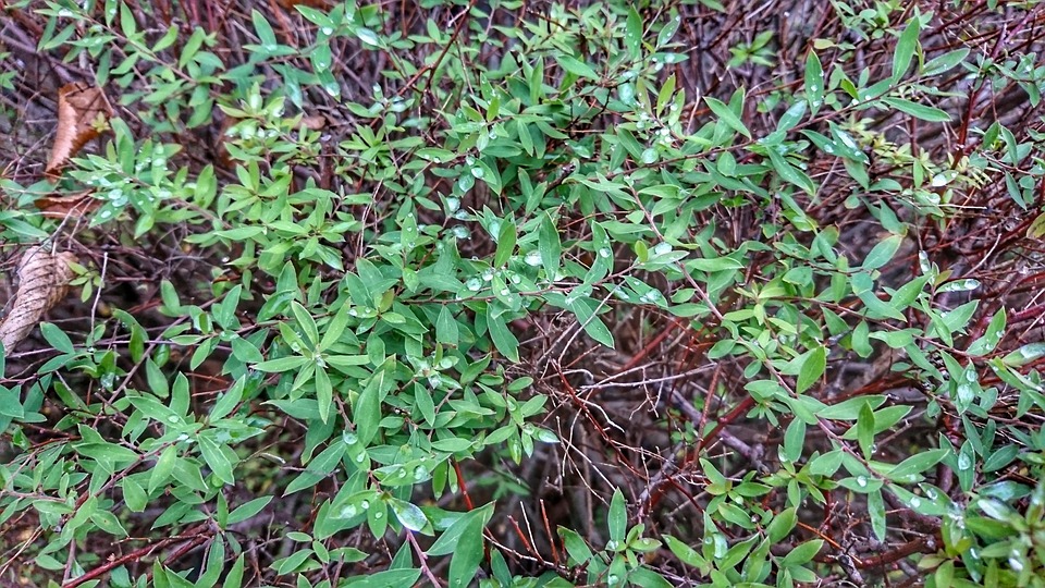 Kreuzfahrtboom 2025: Wachstum, Herausforderungen und neue Trends!