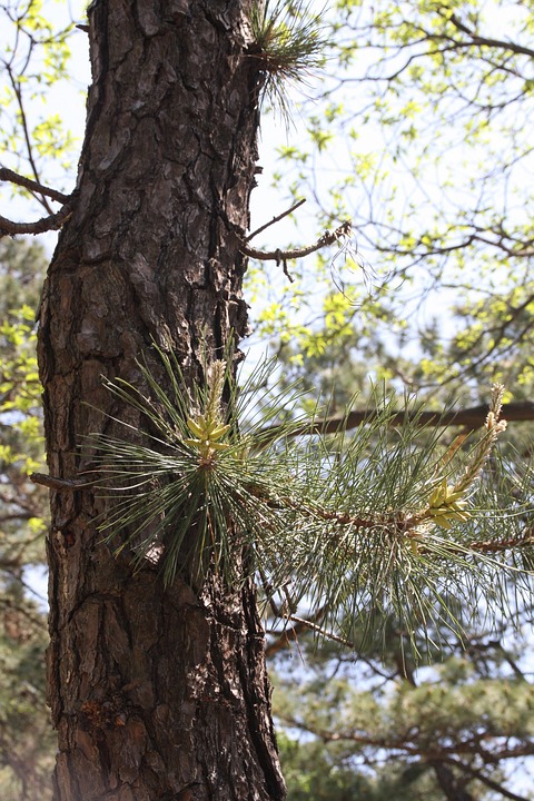 Neue EU-Regeln: Pauschalreisen teurer? Experten warnen vor Folgen!