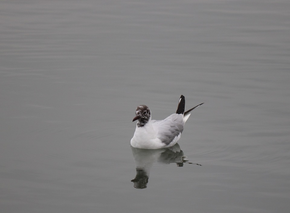 Steigende Mietpreise in Albanien: Tourismus treibt Wohnungsmarkt an!