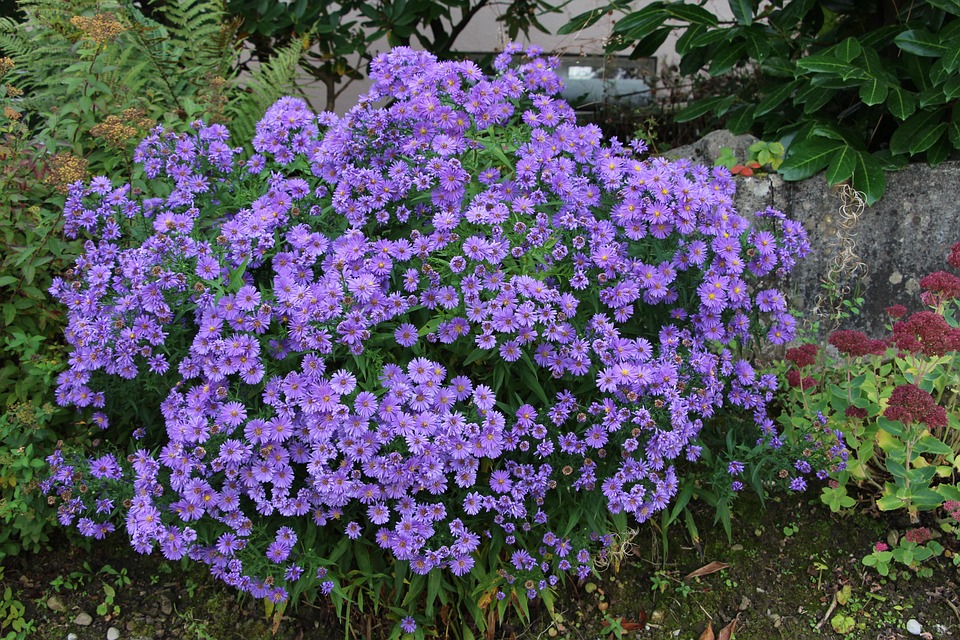 Kreuzfahrt-Albtraum: Dieser Buchungsfehler brachte die Familie in Not!