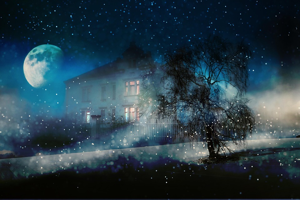 Traumhafte Kreuzfahrt: Entdecken Sie die Kanaren mit Johannes Zenglein!