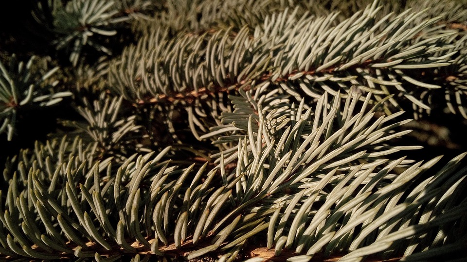 Unvergessliche Geschwisterreise: Wie Beverly Hills uns neu verband!