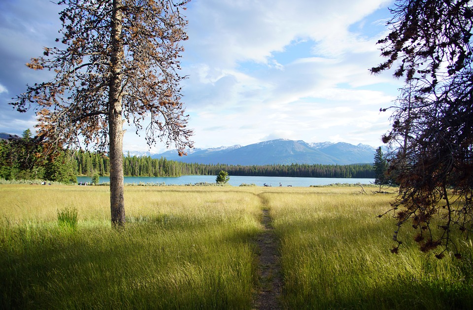 Annette Stöcker: Signierstunde für ihren mitreißenden Reisebericht!