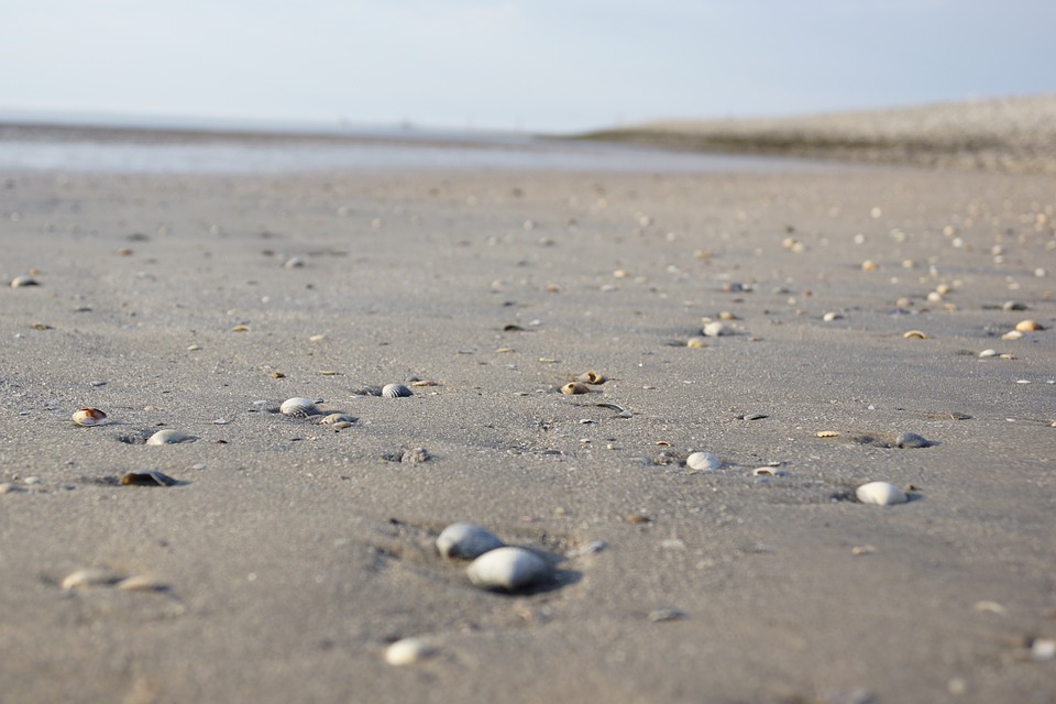 Reiselust der Deutschen boomt: Höchste Frequenz seit 20 Jahren!