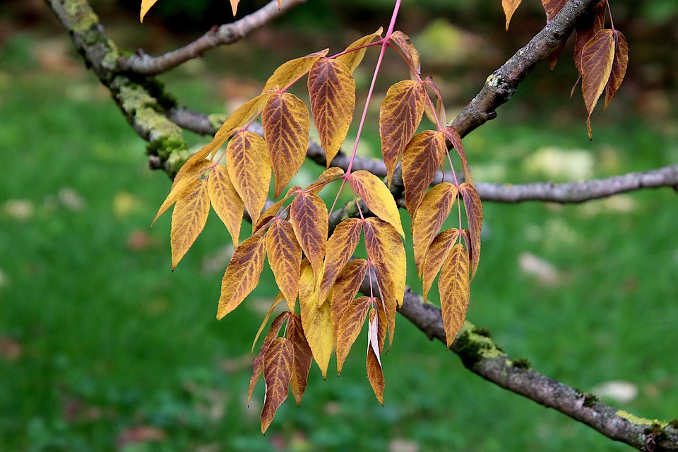 Strandurlaub bleibt Favorit: Deutsche lieben die Sonne und Erholung!