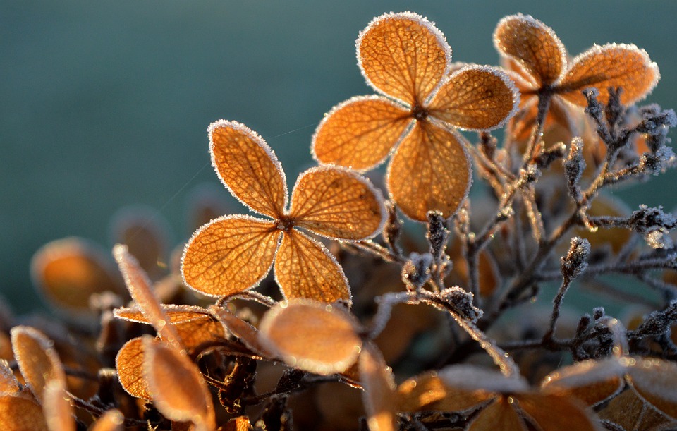 Winterwunder in MV: Touristen strömen zur eisigen Ostseeküste!