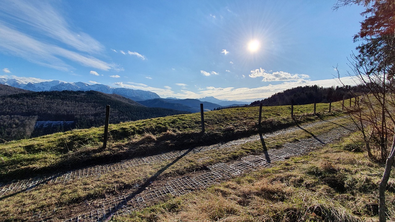 Thalgau – Ein Geheimtipp für Erholung und Abenteuer in malerischer Natur