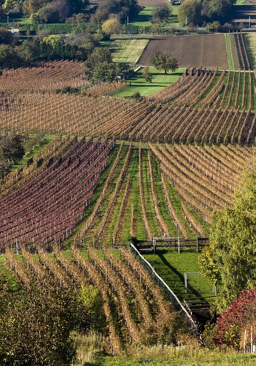 Annegrets Weg zum Digital-Vorreiter: Neuer E-Coach für Pfaffenhofen!