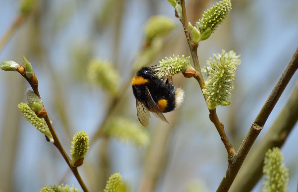 Frühlingserwachen: Fünf zauberhafte Reiseziele in Europa entdecken!