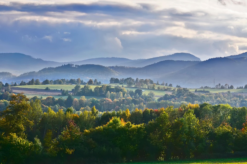 Reisen in die USA: Wichtige Infos zur ESTA-Beantragung!