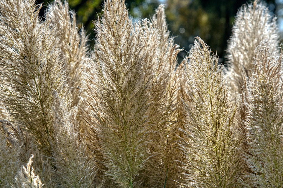 Sonnige Schnäppchen: Aldiana Fuerteventura ab 1.247€ pro Woche!